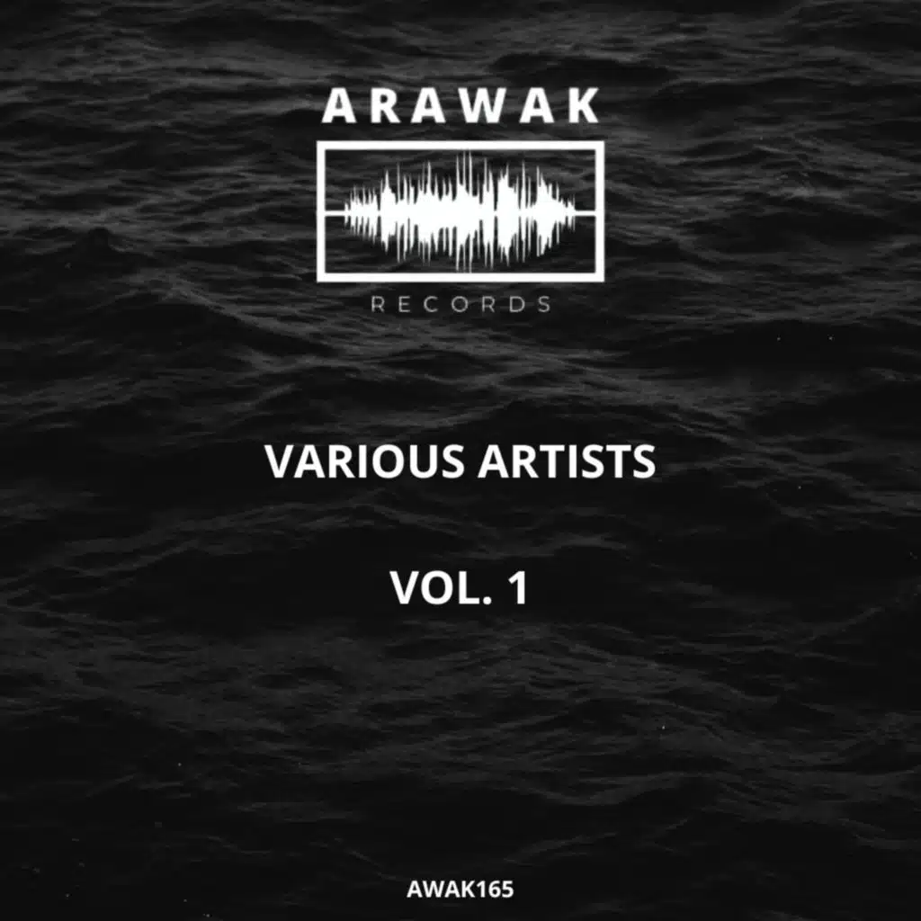 Various Artists, Vol. 1