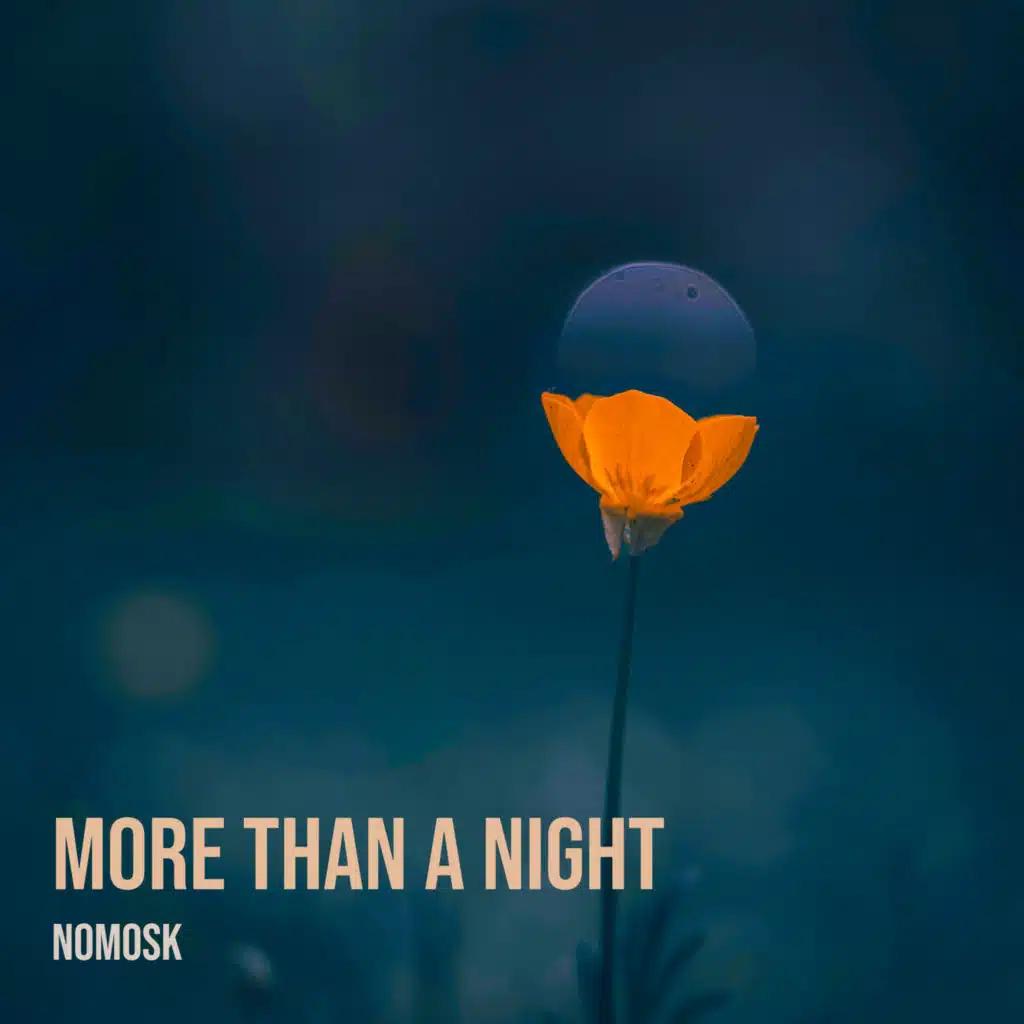 More Than a Night