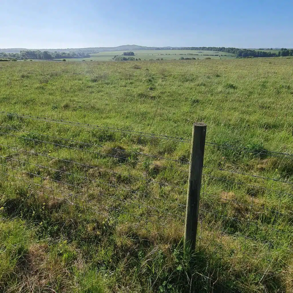 Sound Escape 225. Skylarks and corn buntings on a Wiltshire downland