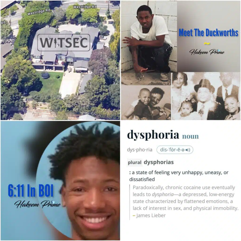 Boise Distortion • Pack