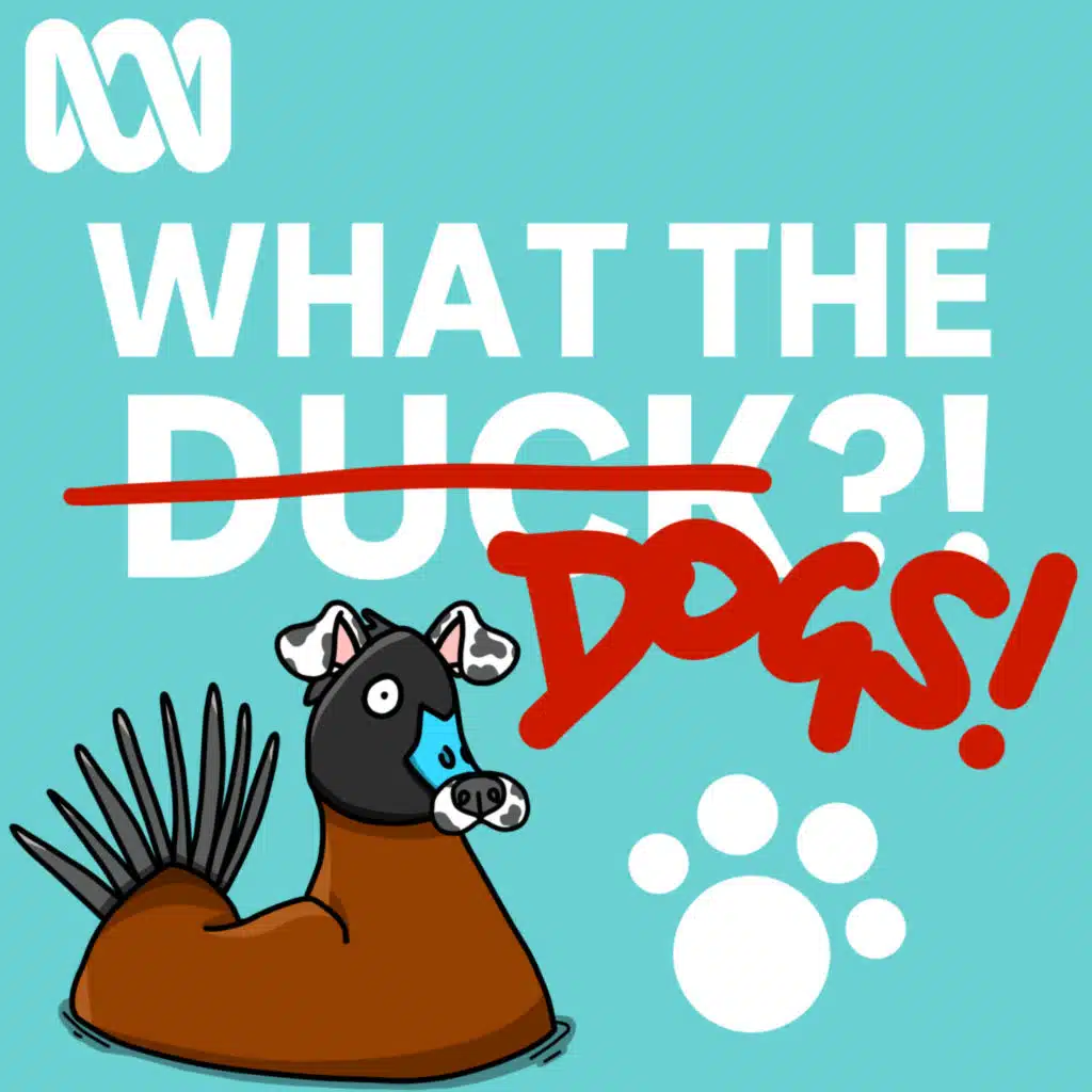 Dogs in Australia: What is a dingo?