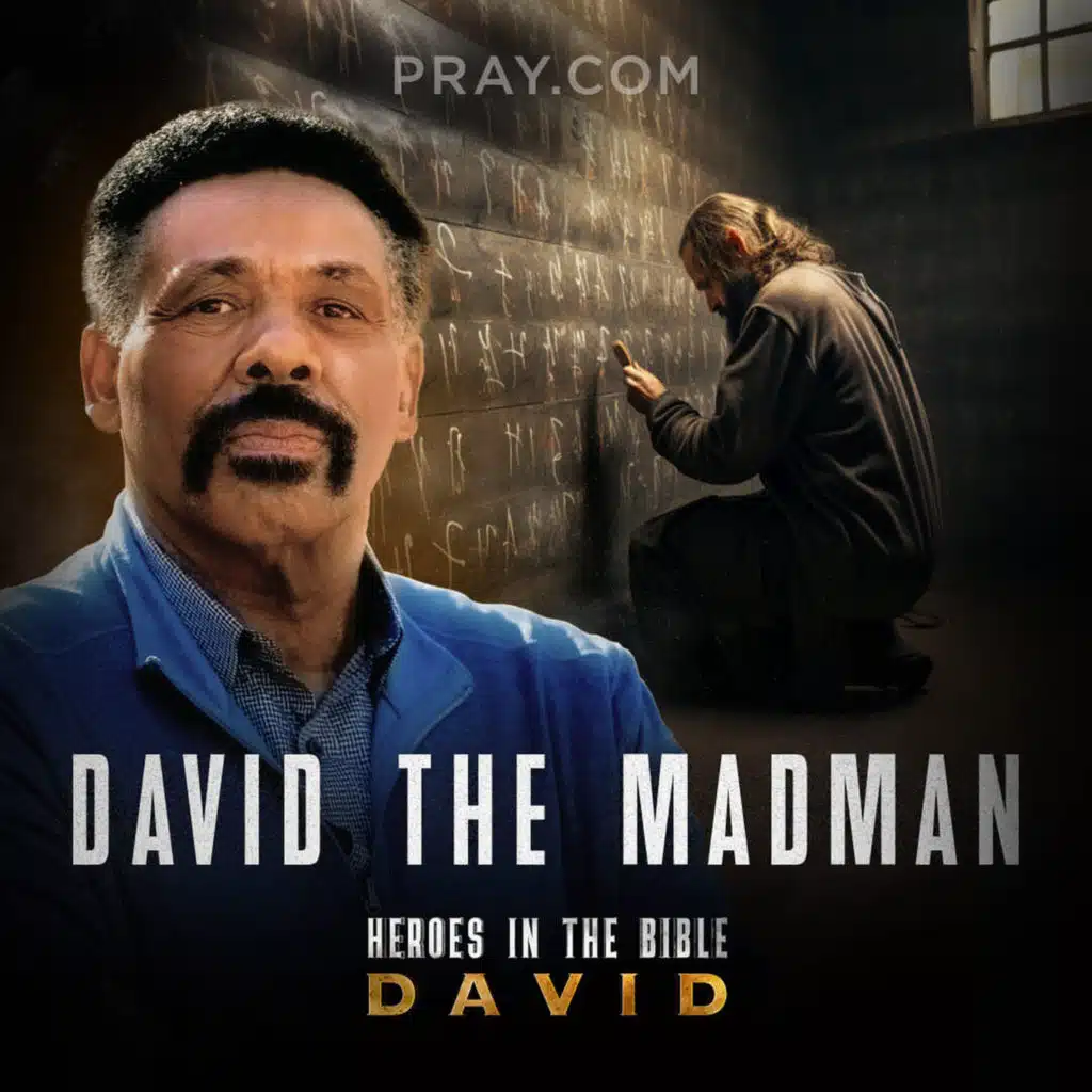 Chapter 09: David the Madman