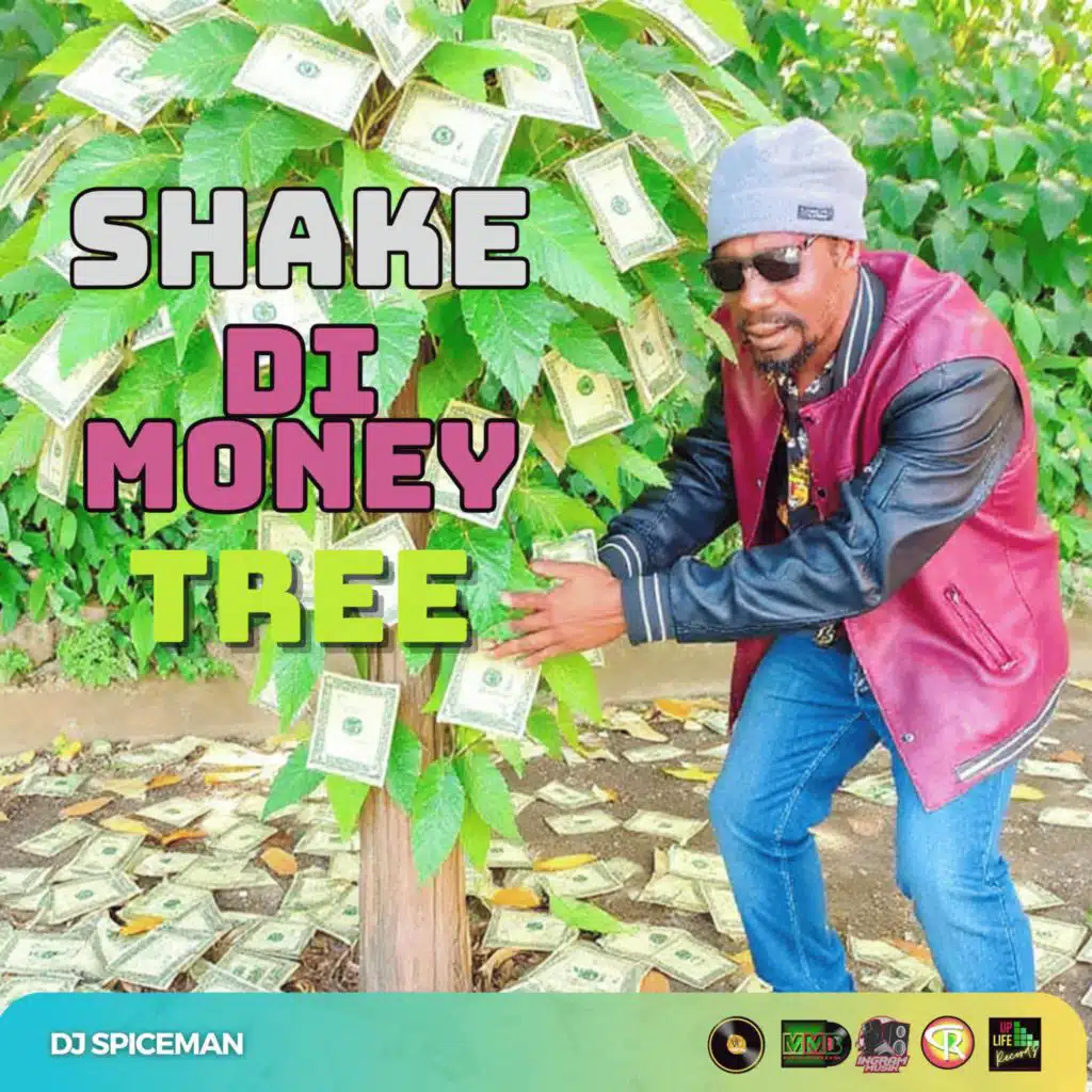 DJ Spiceman