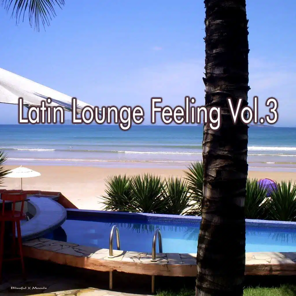 Latin Lounge Feeling, Vol. 3