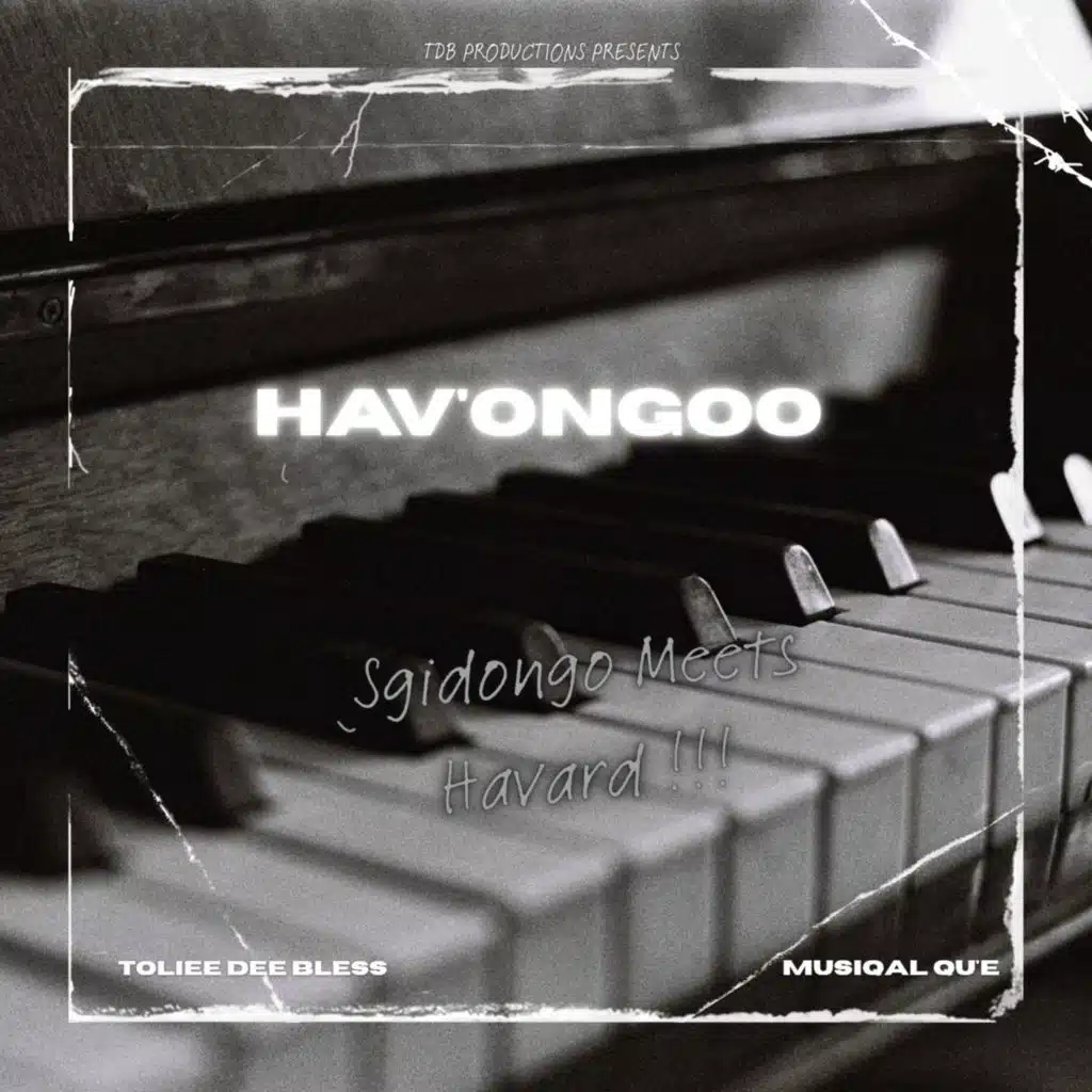 HAV'ONGOO