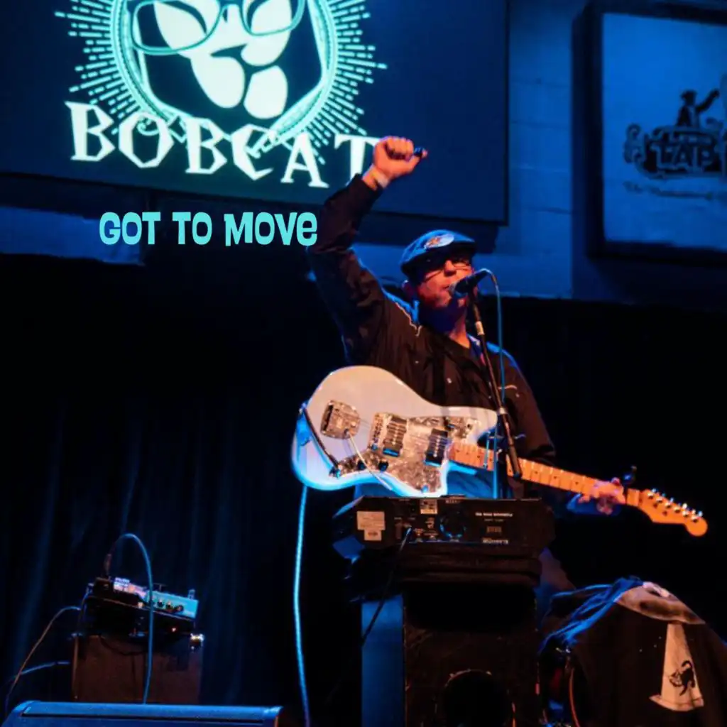 Bobcat