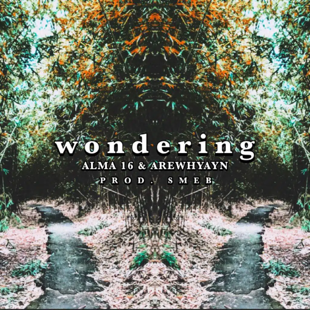 Wondering
