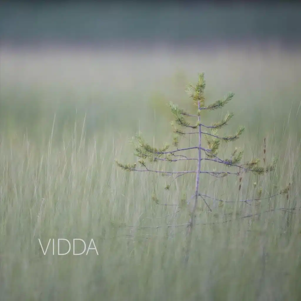 Vidda