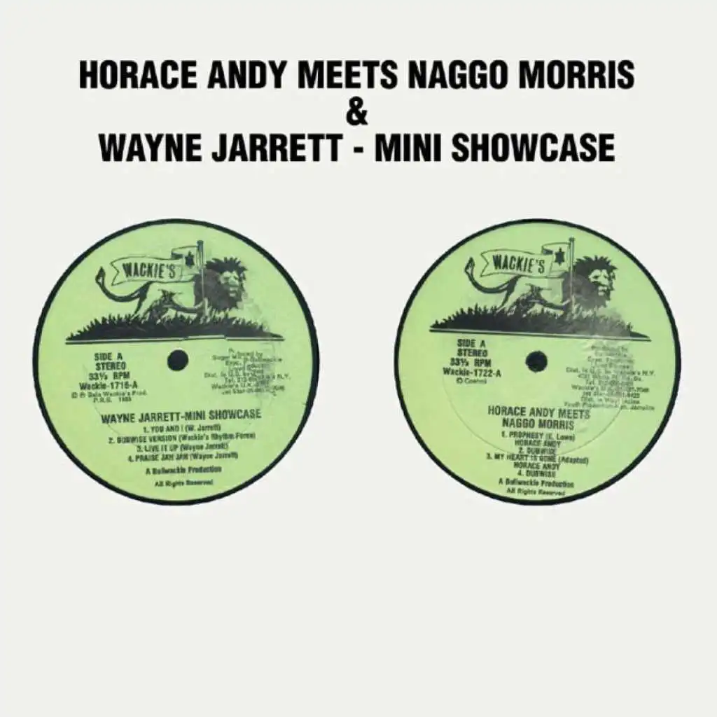 Horace Andy Meets Naggo Morris & Wayne Jarrett - Mini Showcase