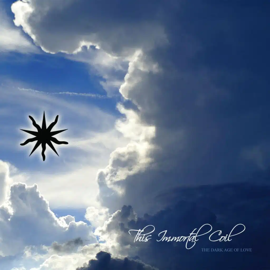 The Dark Age of Love (feat. David Donatien, Christine Ott, Hannes d'Hoine, Roël Van Camp, Chapelier Fou & Yaël Naim)