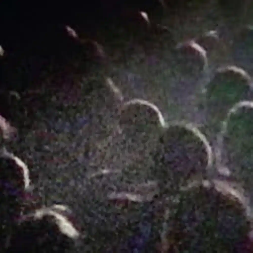 Nous vieillirons Ensemble (Live à la Gaité lyrique)