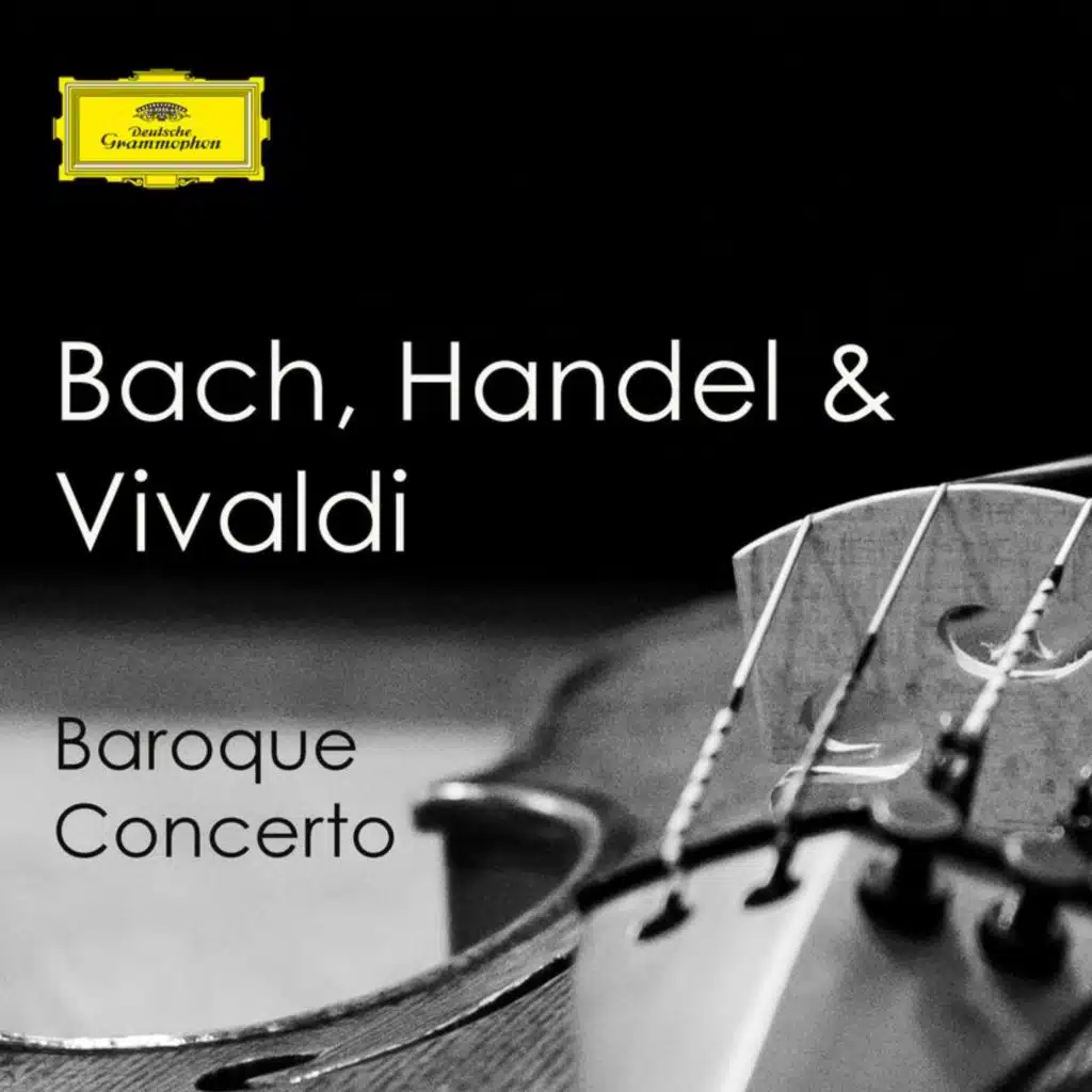 Vivaldi: Concerto for Strings and Continuo in B flat, R.163 "Conca": 2. Andante (molto)