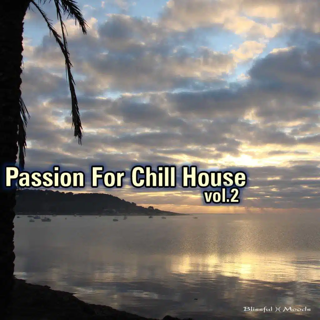 Passion for Chill House: Vol. 2