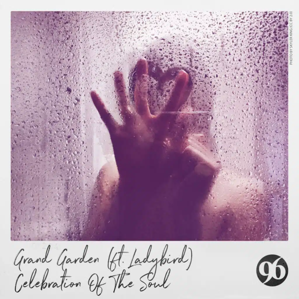 Celebration of the Soul (feat. Ladybird)