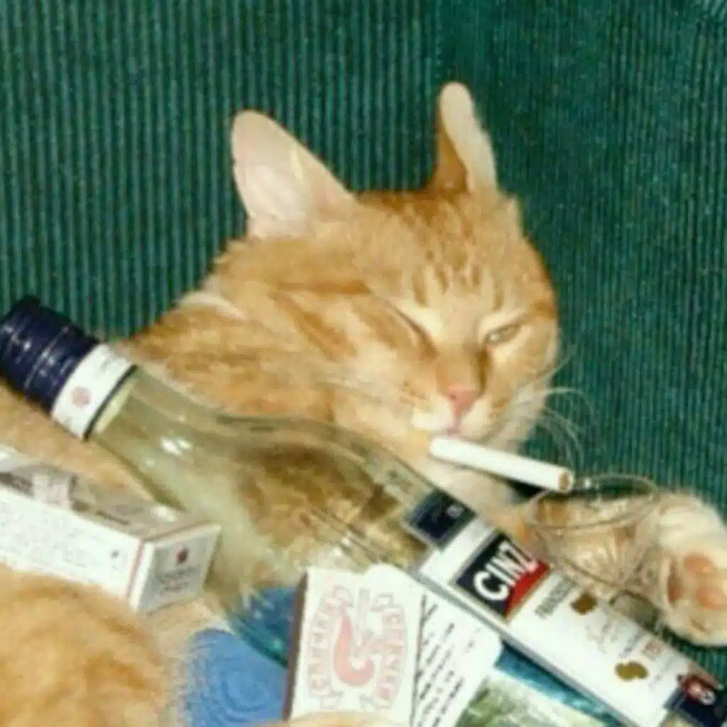 dolu sigarayi ters tut jerkflip