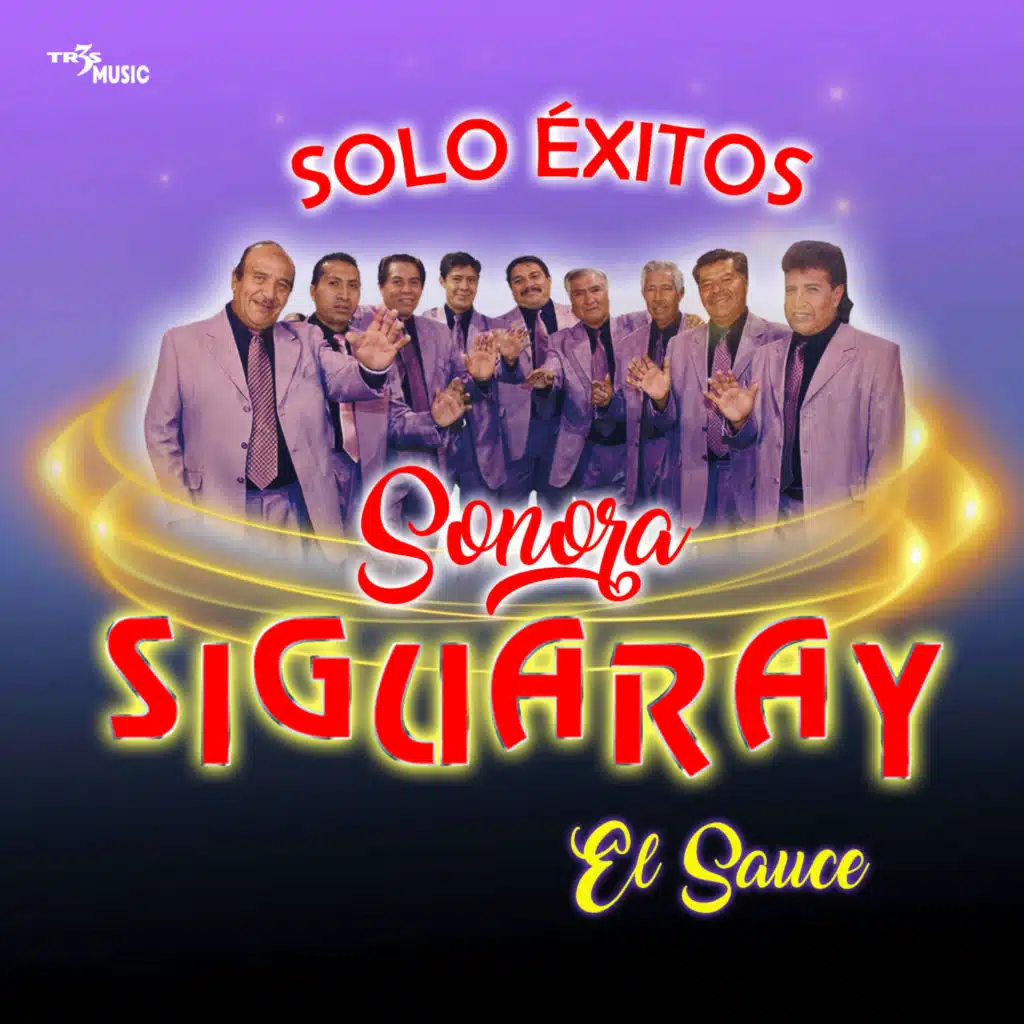 El Sauce Solo Exitos