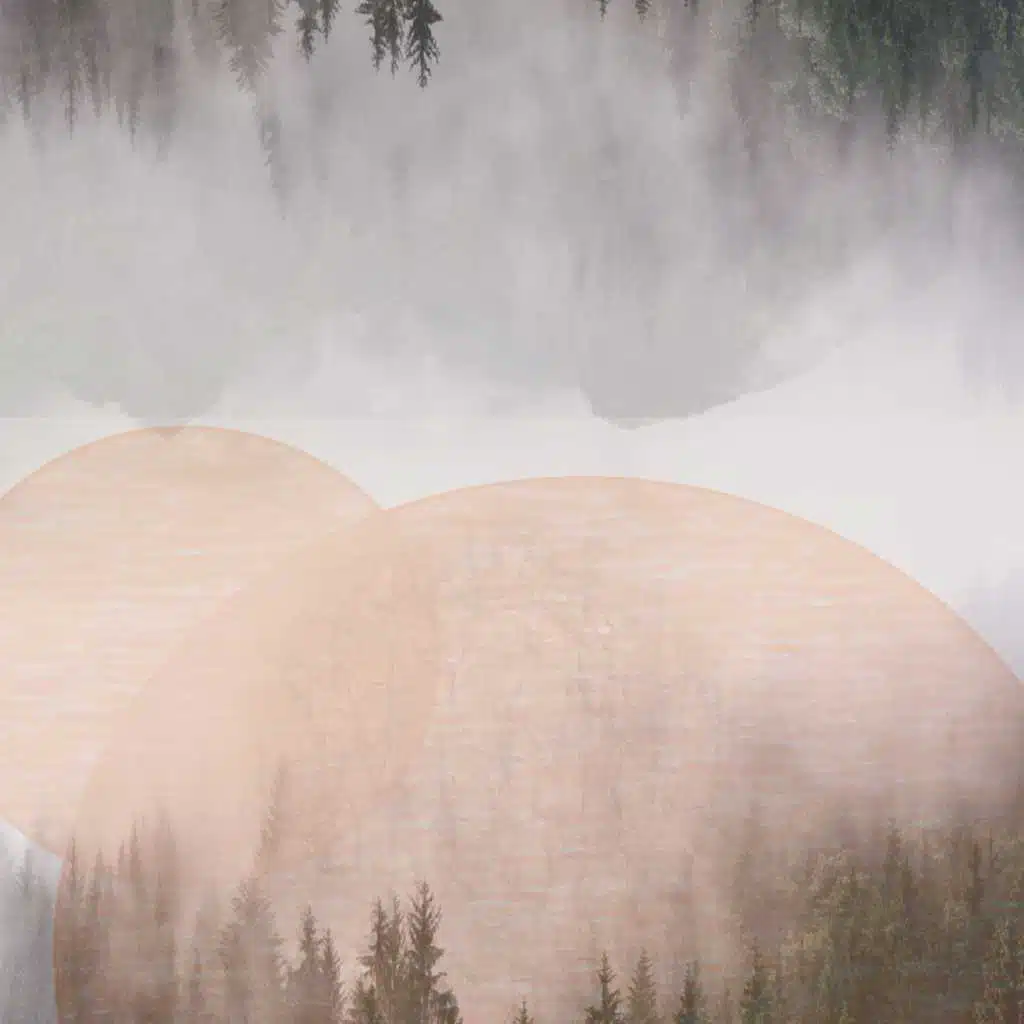 Fight Back (feat. Kollmorgen)