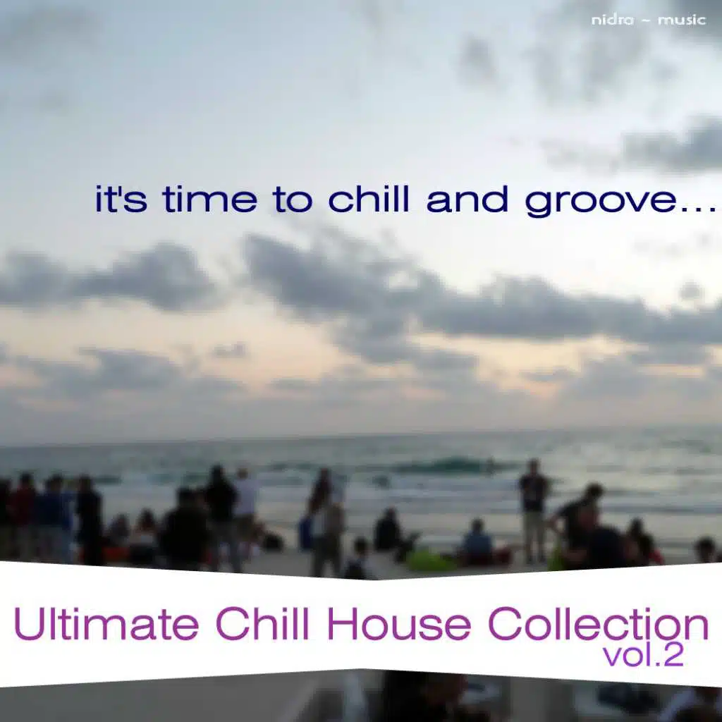 Ultimate Chill House Collection: Vol.2