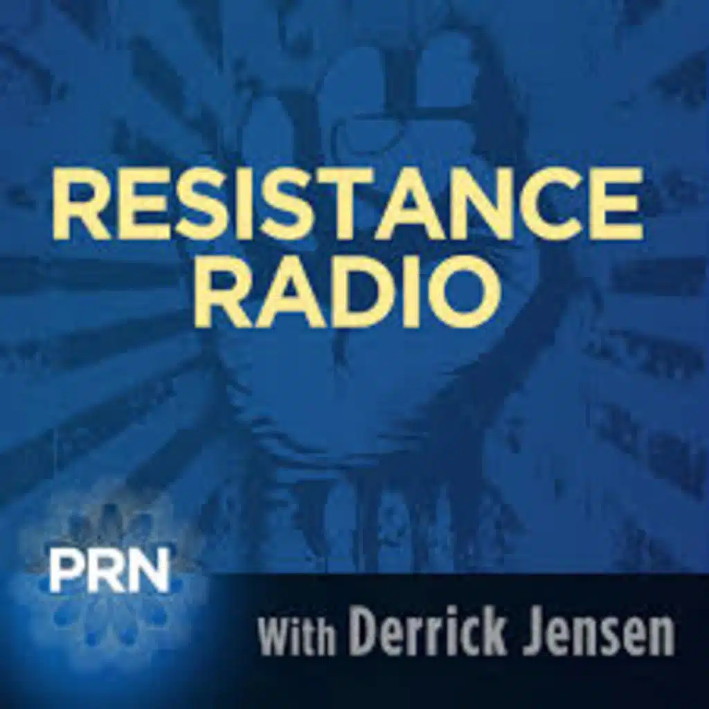 Resistance Radio Interview of Deanna Lynn Wulf
