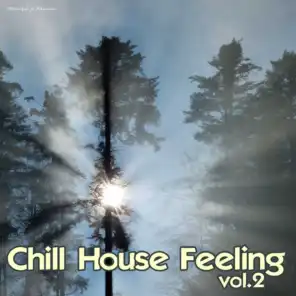 Chill House Feeling, Vol.2