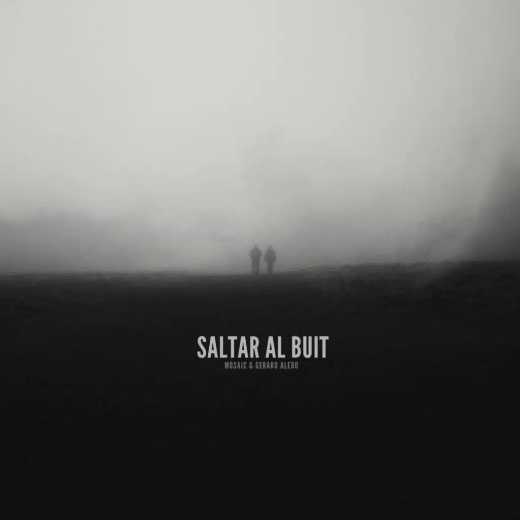 Saltar al buit
