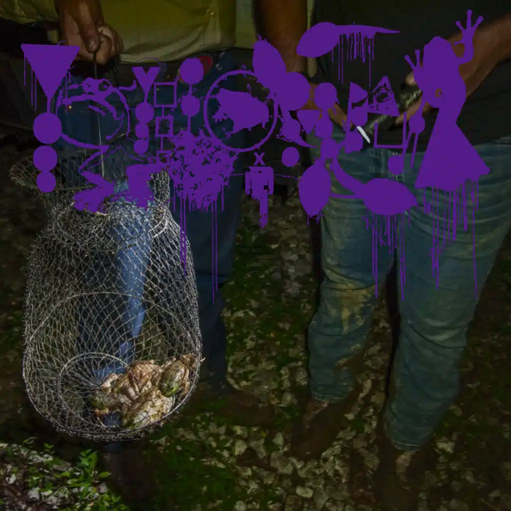 Frog Gigger Wig Splitter