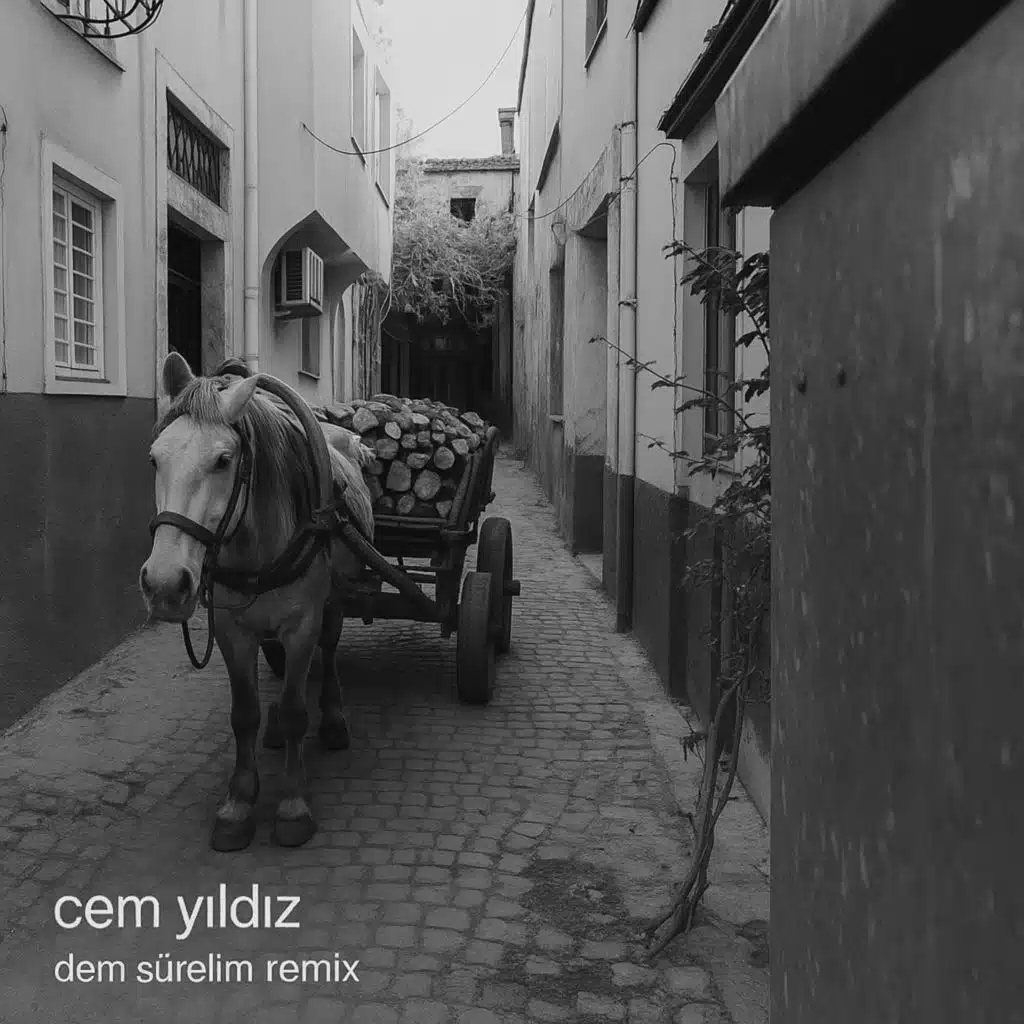 Dem Sürelim (Remix)