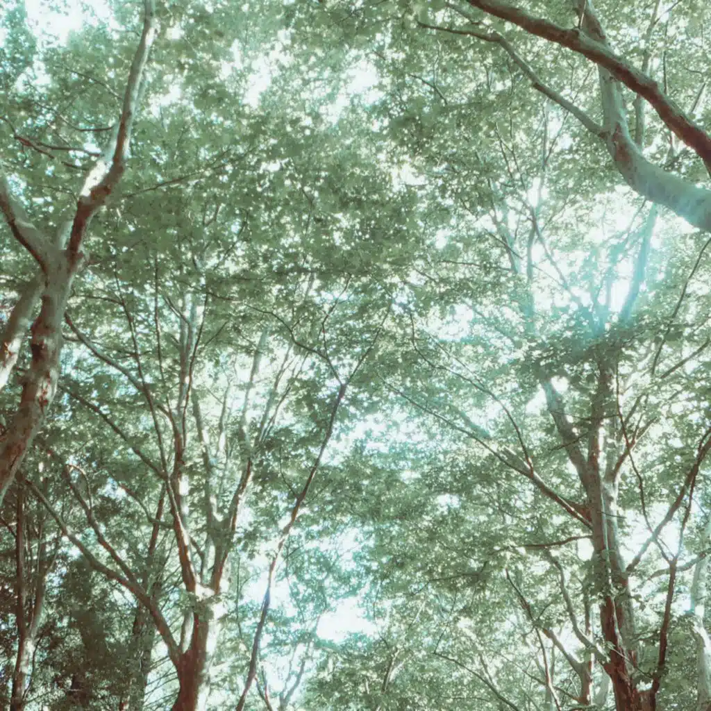 AQVAREC & Kevin Whalen