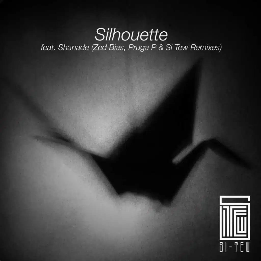 Silhouette (feat. Shanade)