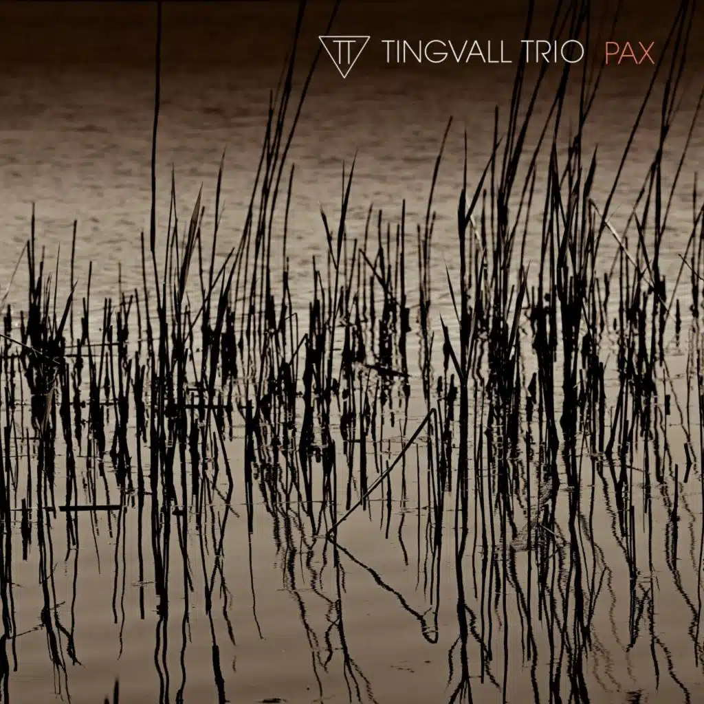 Tingvall Trio