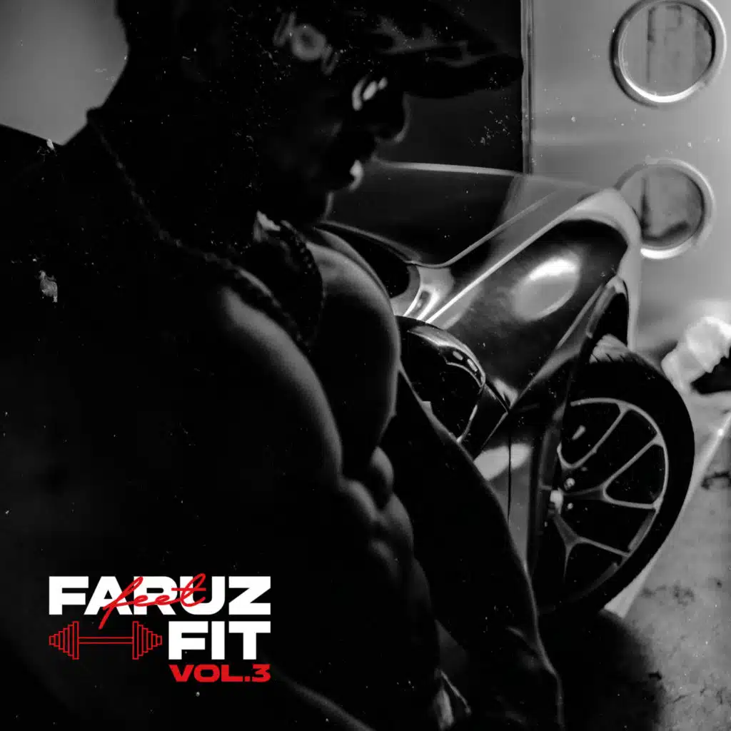 Faruz Fit, Vol. 3