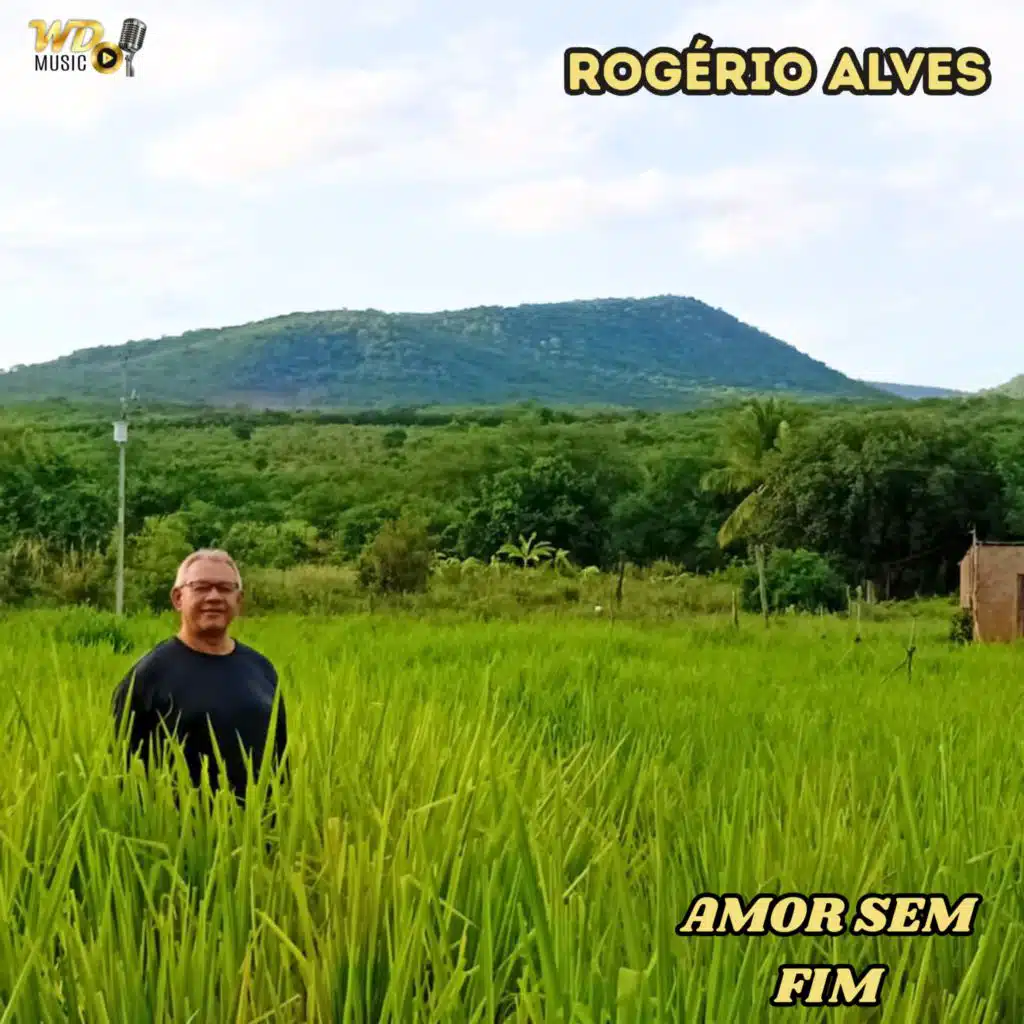 AMOR SEM FIM