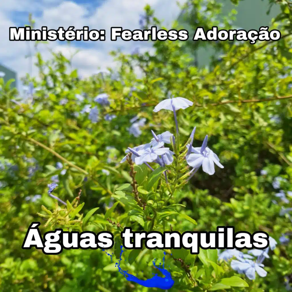 Aguas Tranquilas (feat. Ailton Souza Santos & LUDMILLA  Alves SANTOS)