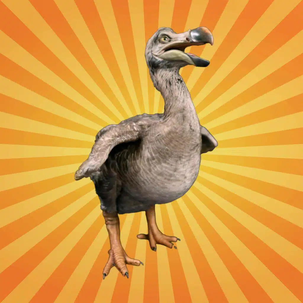 Le dodo, oiseau disparu mais jamais oublié