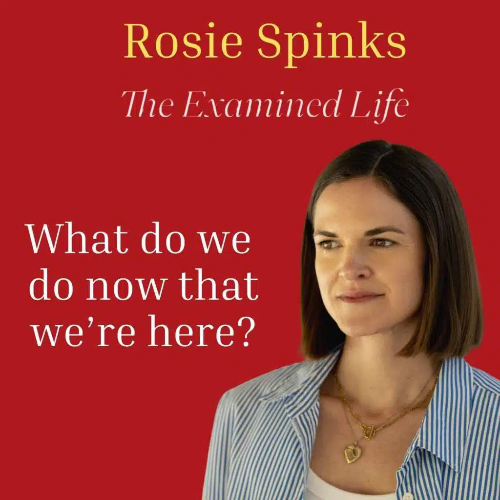 Rosie Spinks - What Do We Do Now That We're Here?