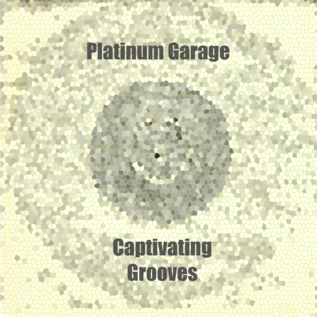 Captivating Grooves