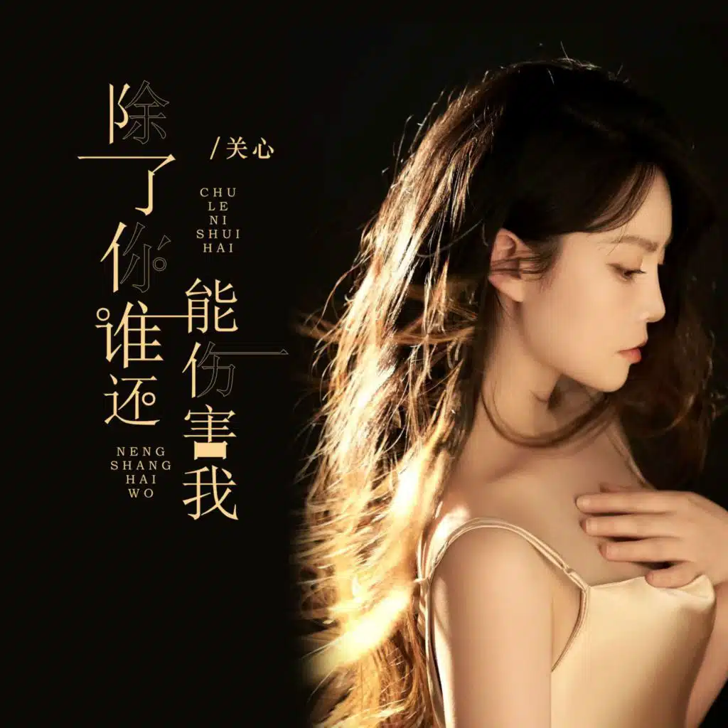 除了你谁还能伤害我 (Dj九零版伴奏)