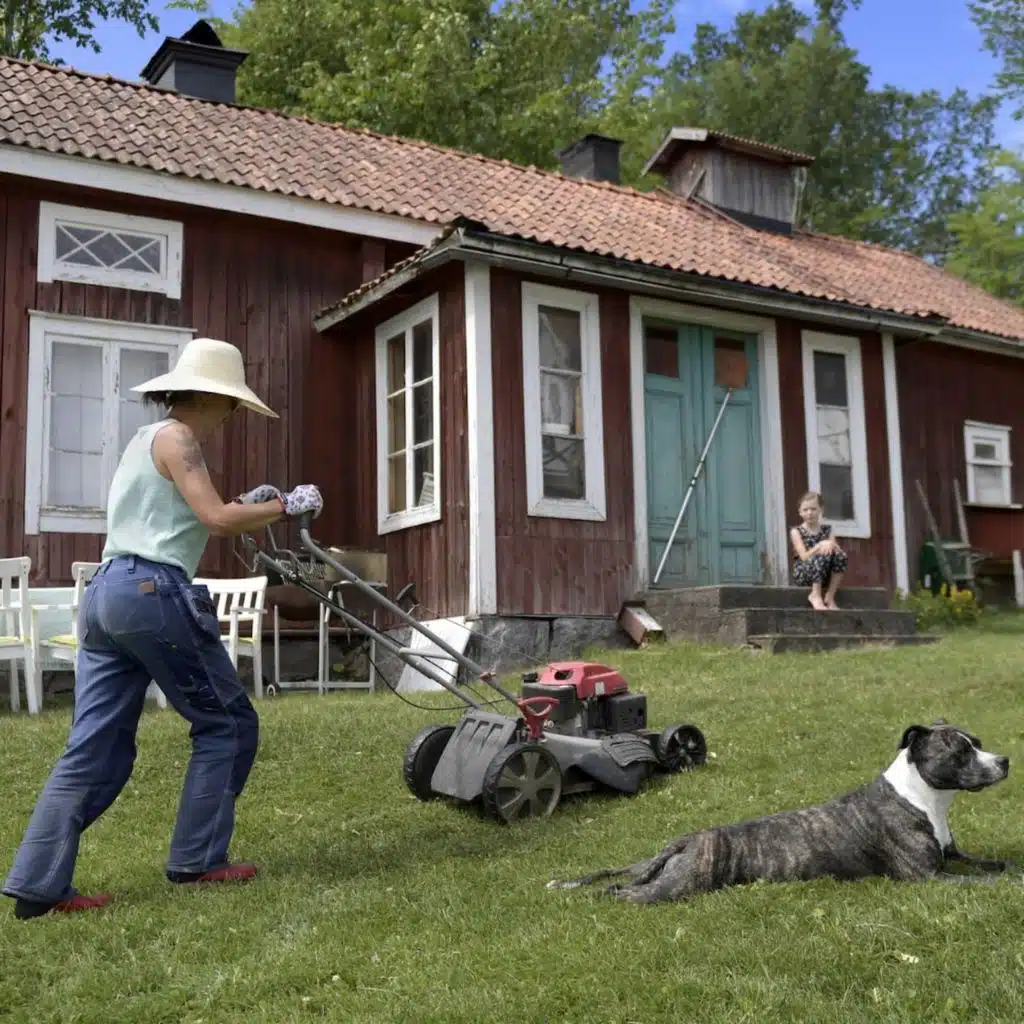 Narcissisten i sommarstugan och andra semestermödor