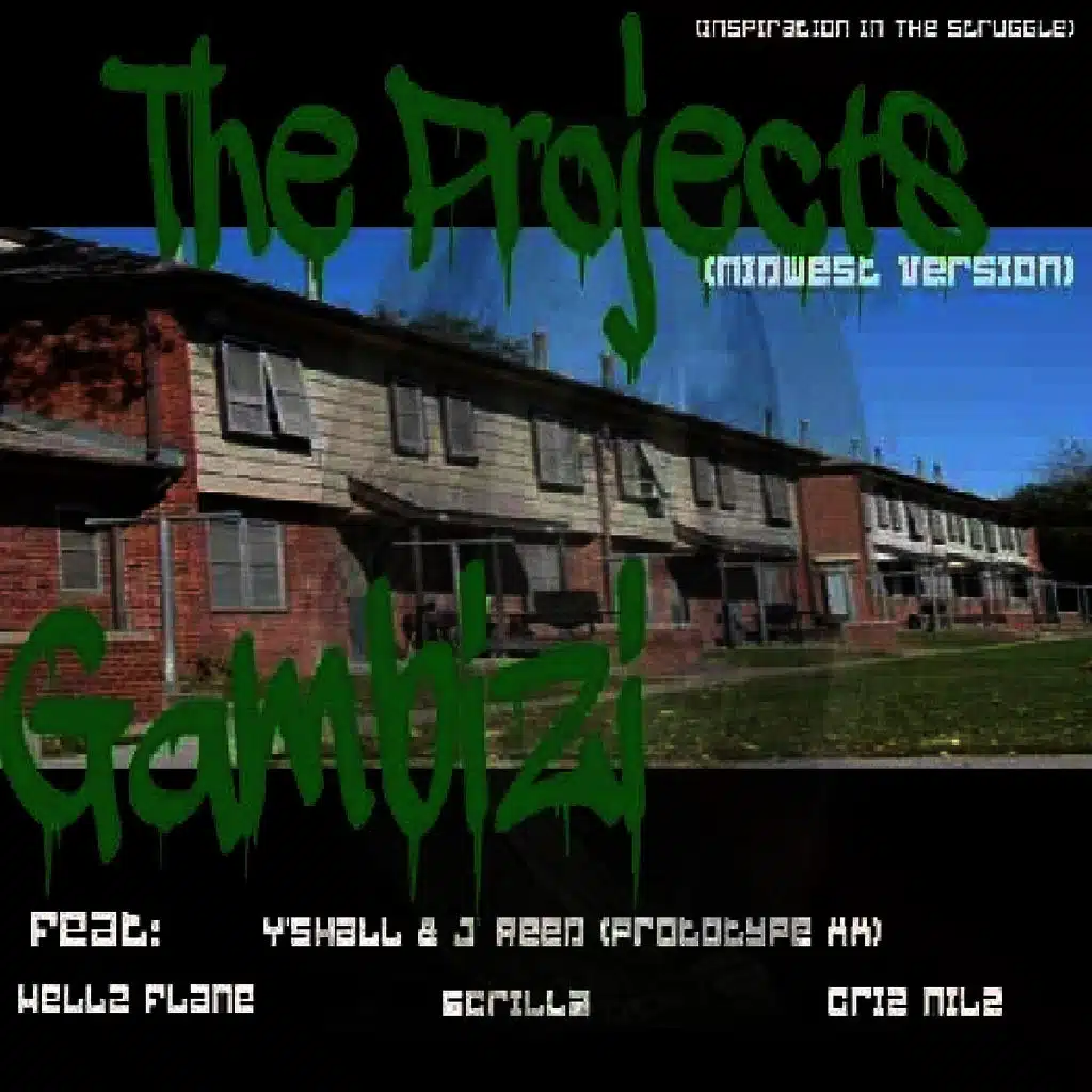 The Projects (Midwest Version)