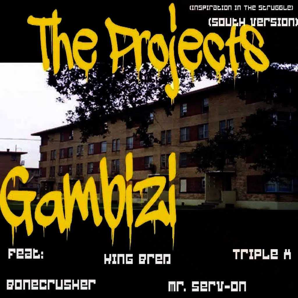 The Projects (The South Version)