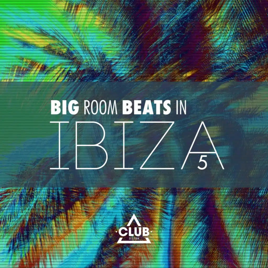 Big Room Beats in Ibiza, Vol. 5