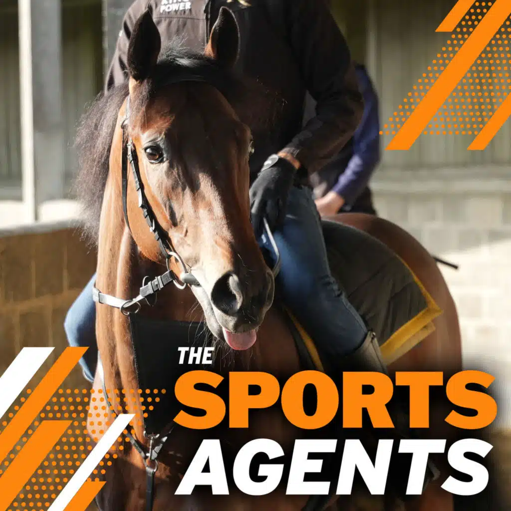 SPECIAL REPORT: How to train a Royal Ascot winner