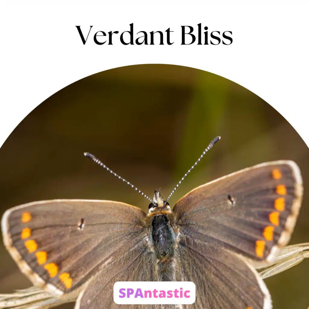 SPAntastic & Green Nature SPA