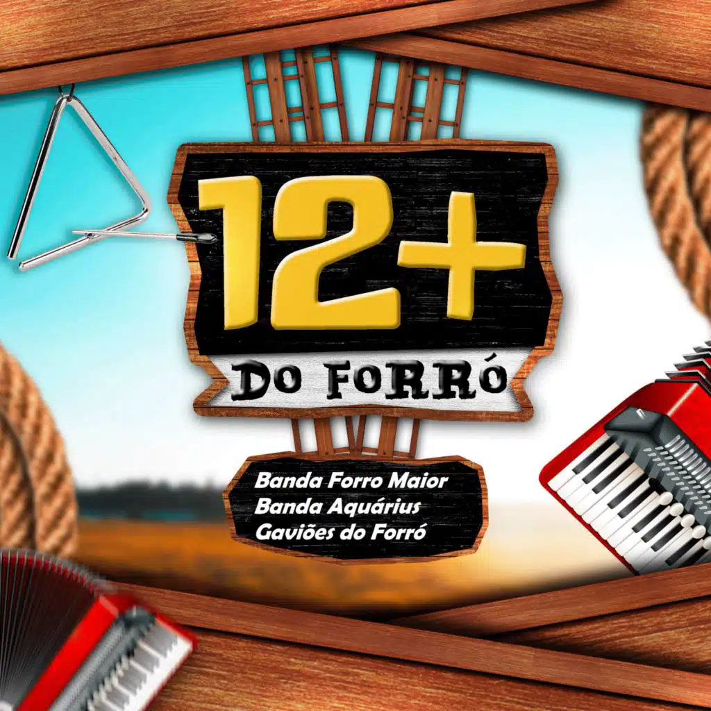 12+ Do Forró (Vol. 3)