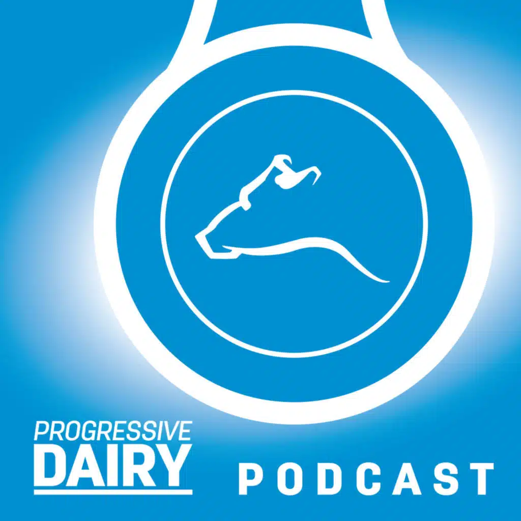 Managing hoof health in the heat with Lee Erickson