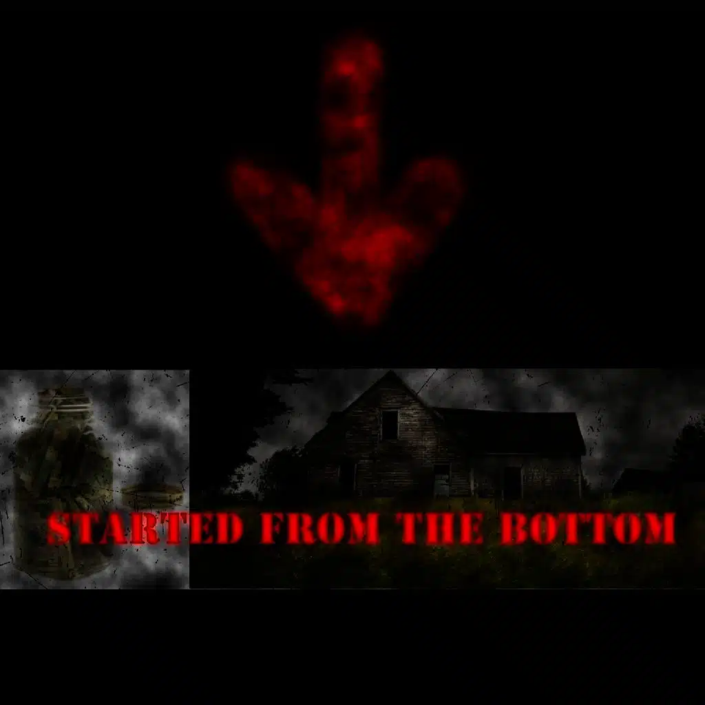 Started from the Bottom