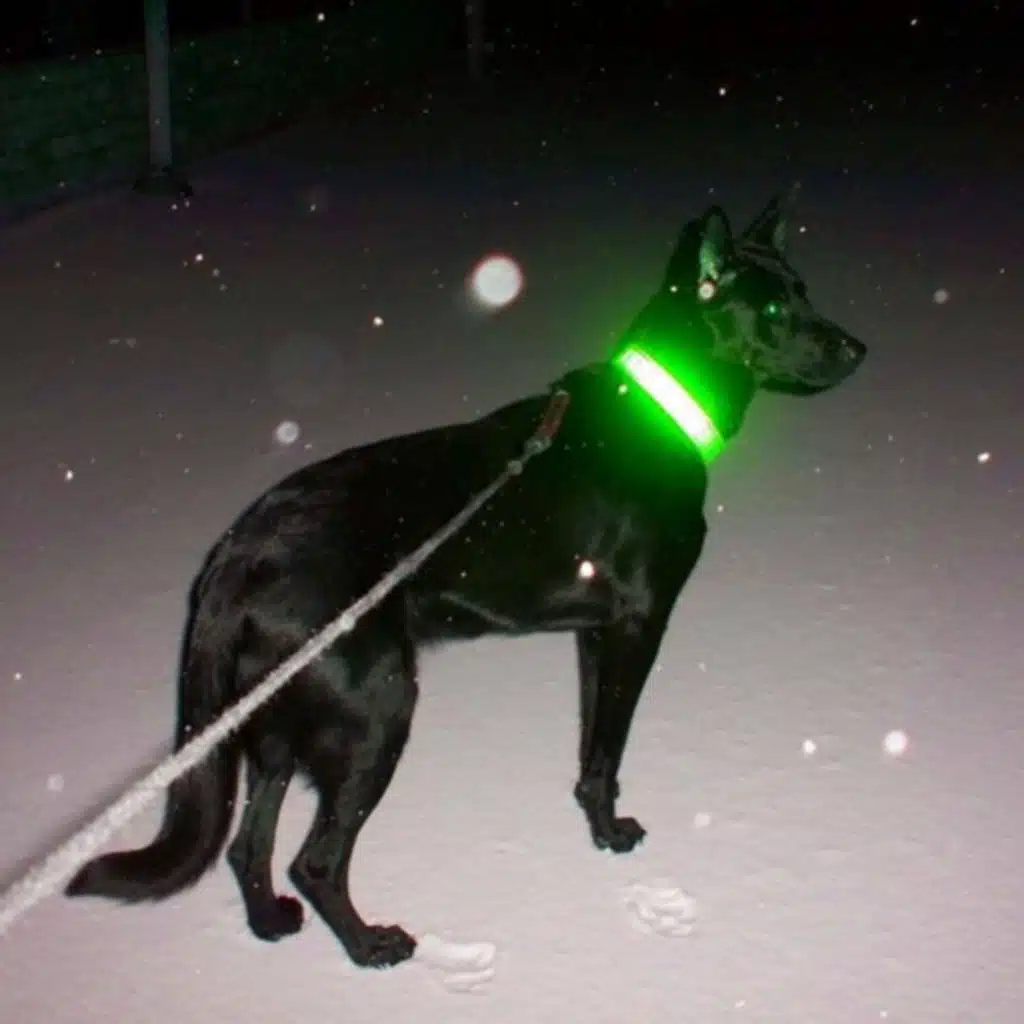 1 (feat. Zotiyac & HOUNDS)