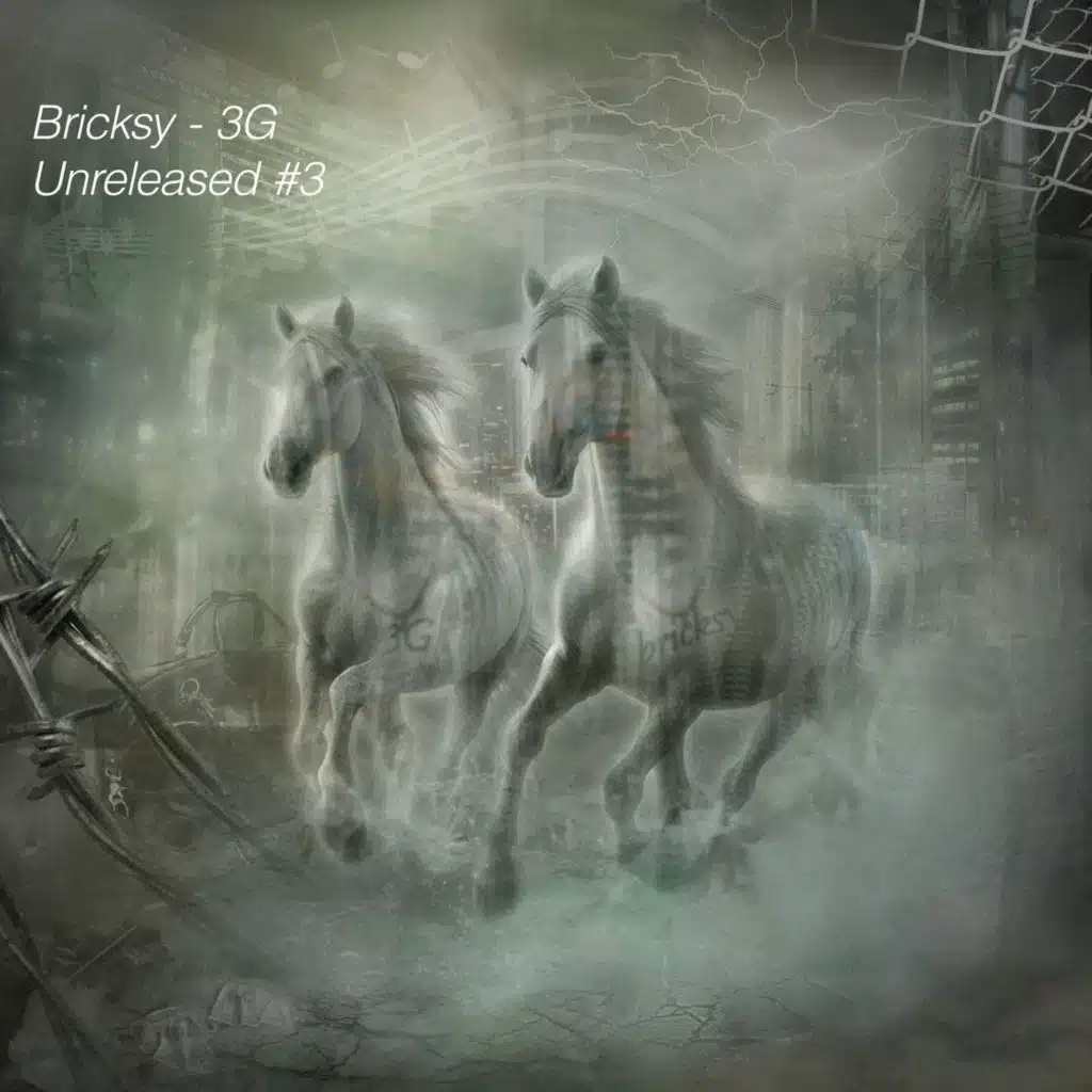 S-Tee & Bricksy & 3g