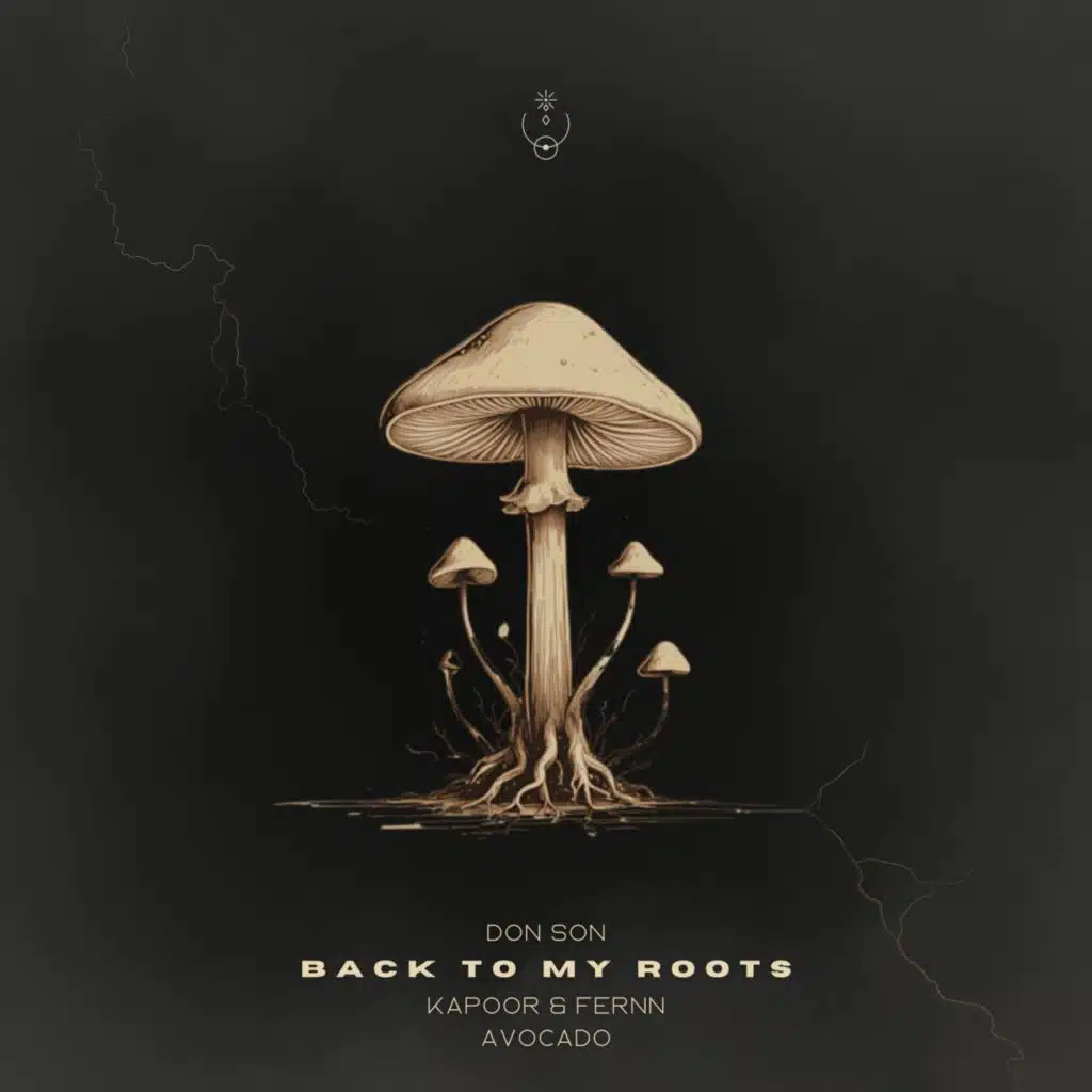 Don Son, Kapoor & fernn