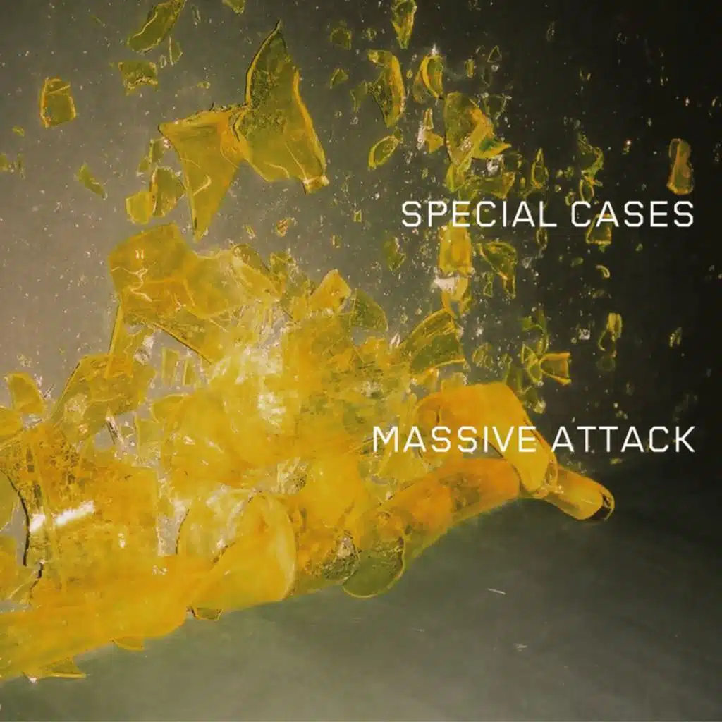 Special Cases (Akufen Remix) [feat. Sinéad O'Connor]